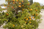 DSC01125