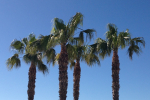 2013-03-18-11-46-45