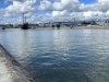 IMG_1341